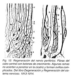 Pulse aqu para ampliar la imagen