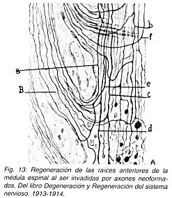 Pulse aqu para ampliar la imagen
