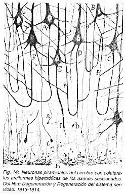 Pulse aqu para ampliar la imagen