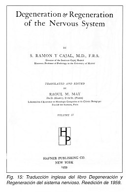 Pulse aqu para ampliar la imagen