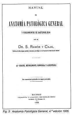 Pulse aqu para ampliar la imagen