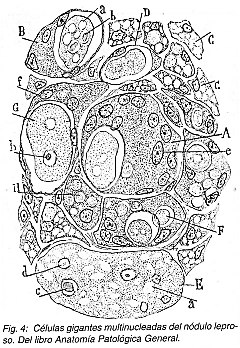 Pulse aqu para ampliar la imagen