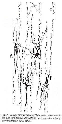 Pulse aqu para ampliar la imagen