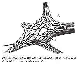Pulse aqu para ampliar la imagen