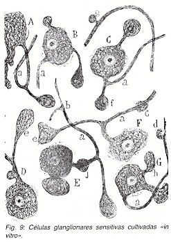 Pulse aqu para ampliar la imagen